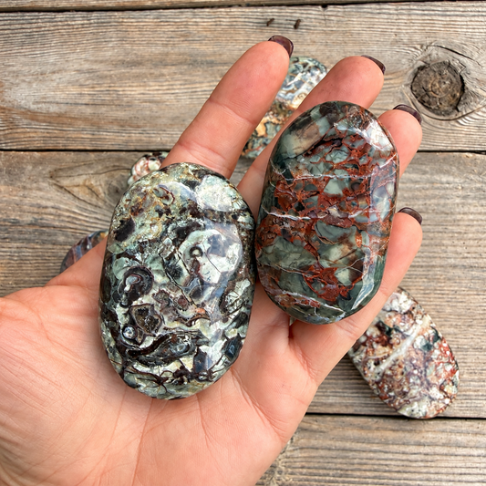 Money Agate Palm Stone – Polished Rhyolite Crystal for Abundance & Prosperity