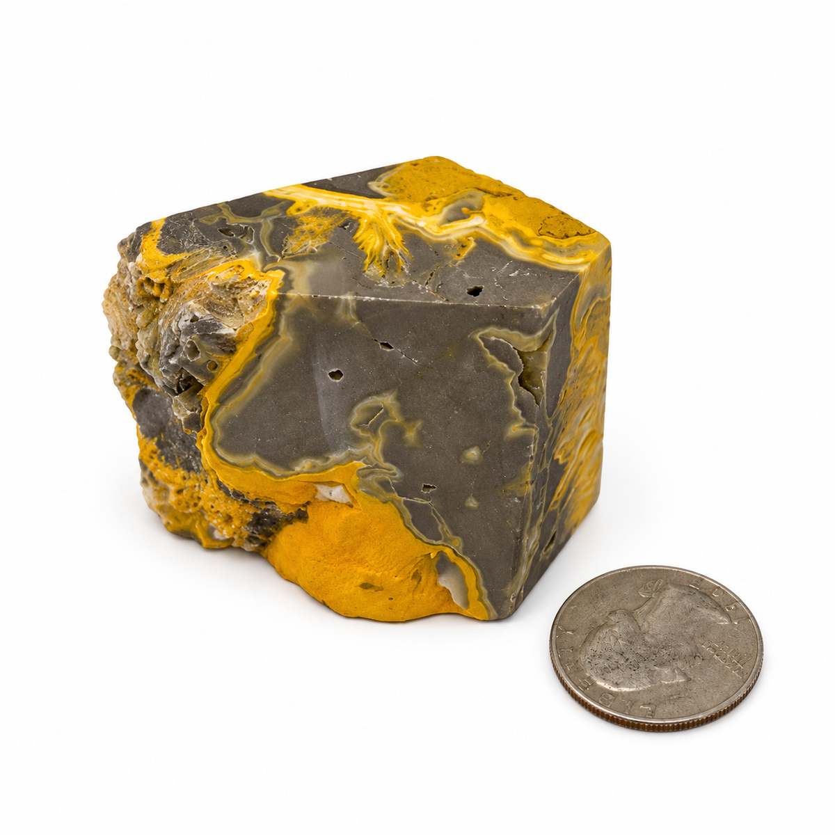 Polished bumblebee jasper freeform with natural raw edge - Magick Souls