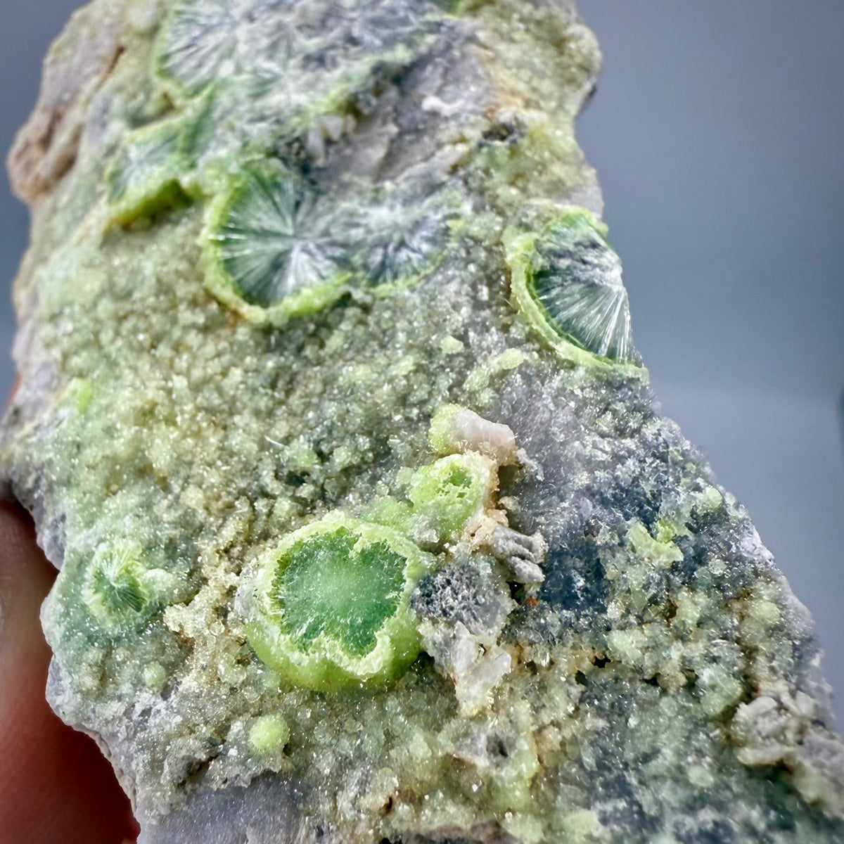 Wavellite – Mauldin Mountain Arkansas USA Rocks & Fossils