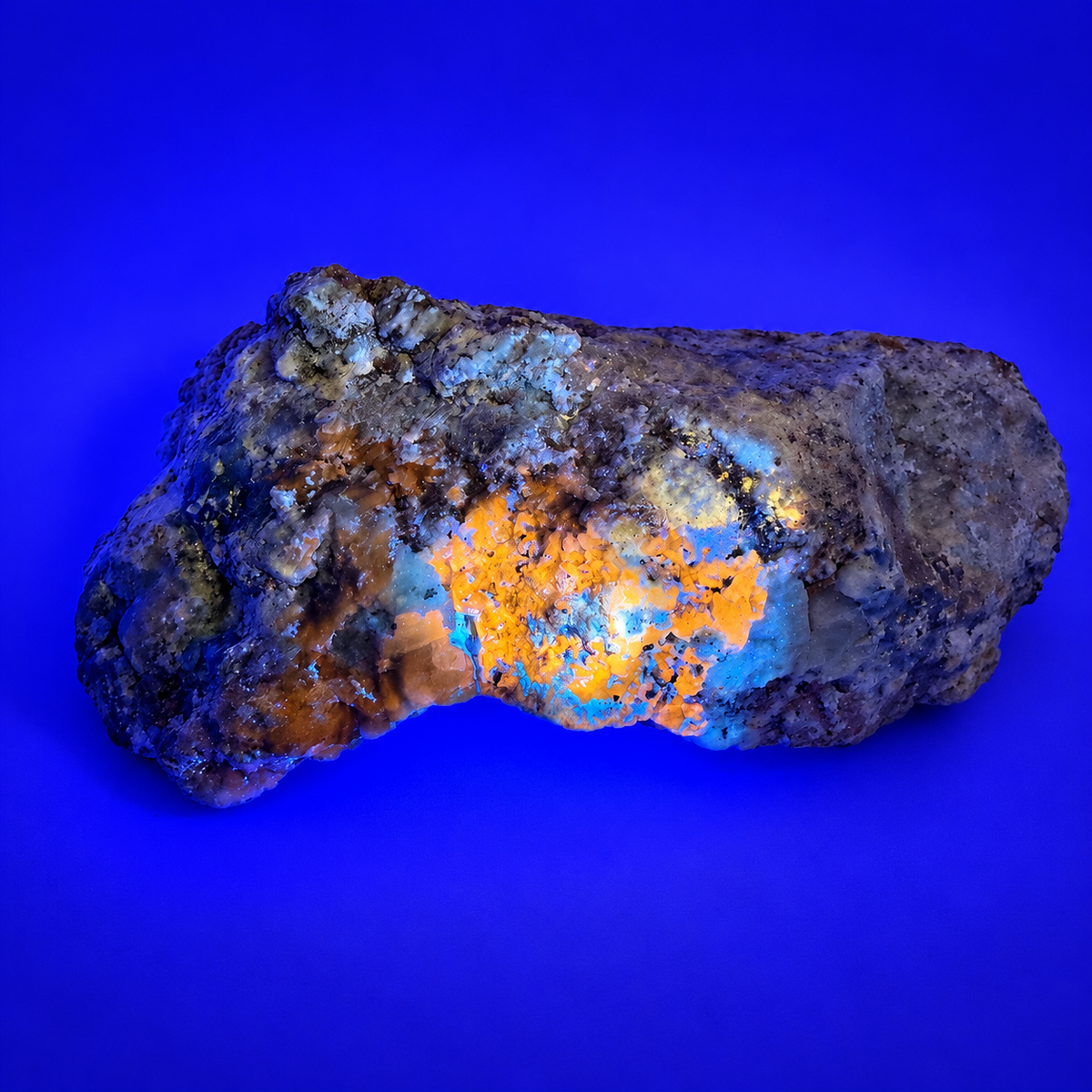 Rare Afghanite Mineral Specimen – UV Reactive Afghanite on Pyrite Matrix, 8" Collector Piece from Afghanistan