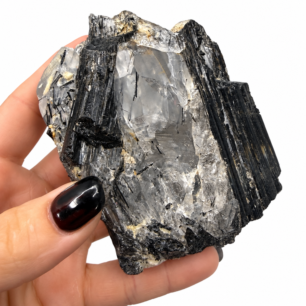 Black tourmaline crystal on tourmalinated quartz from Pakistan, next to a quarter for scale - Magick Souls