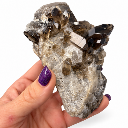 Smoky Quartz Crystal Cluster – Natural Multi-Point Specimen, One of a Kind