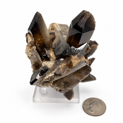 Smoky Quartz Crystal Cluster – Natural Multi-Point Specimen, One of a Kind