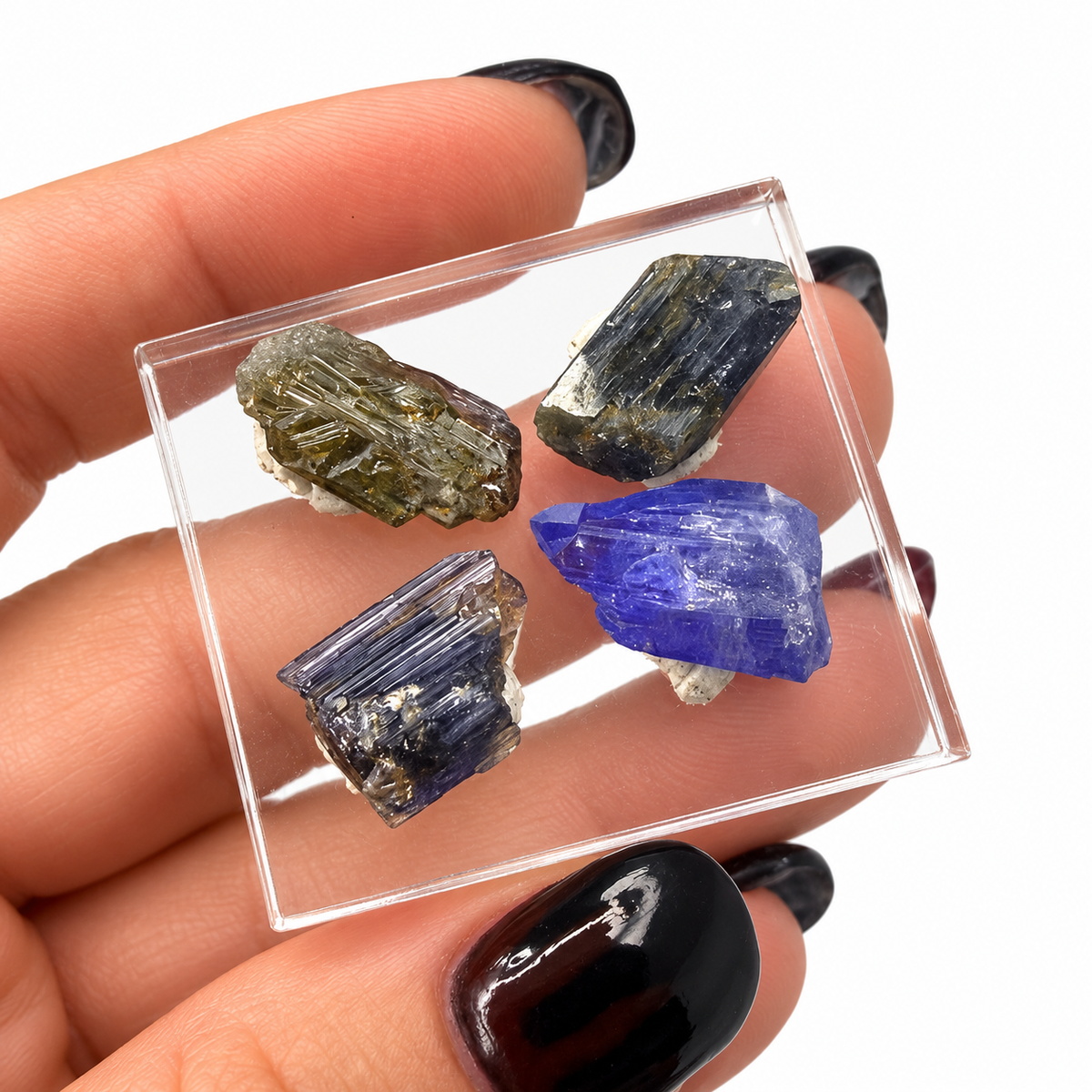 Set of 4 raw tanzanite crystals in clear display box - Magick Souls