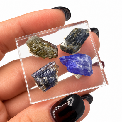 Set of 4 raw tanzanite crystals in clear display box - Magick Souls