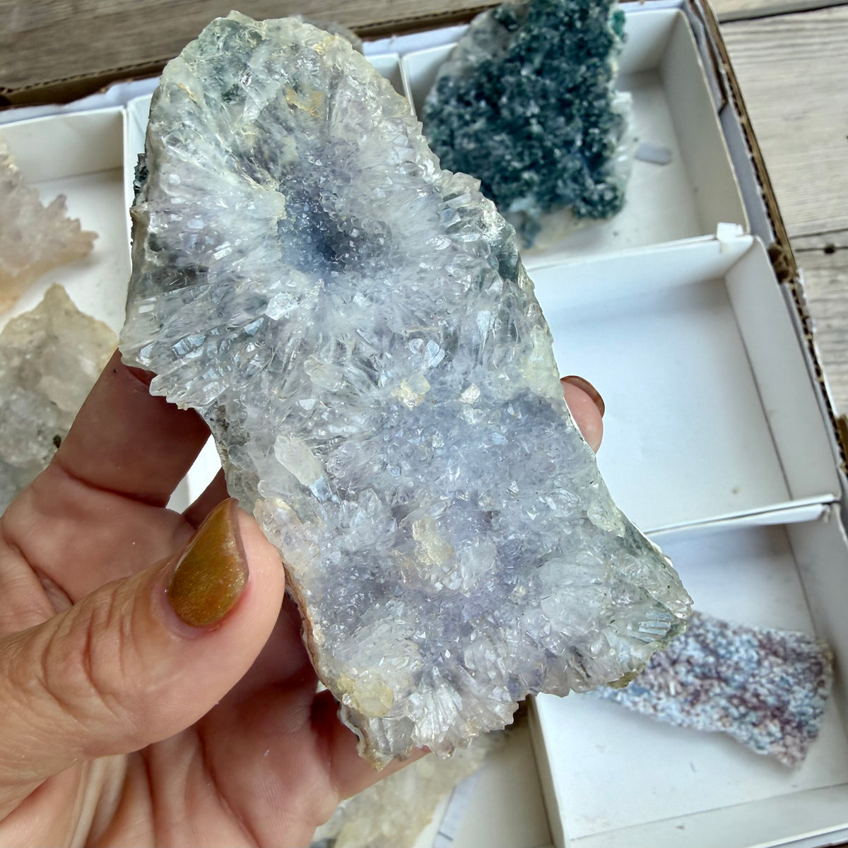 Amethyst Flower Cluster Plates — Rare Natural Specimens