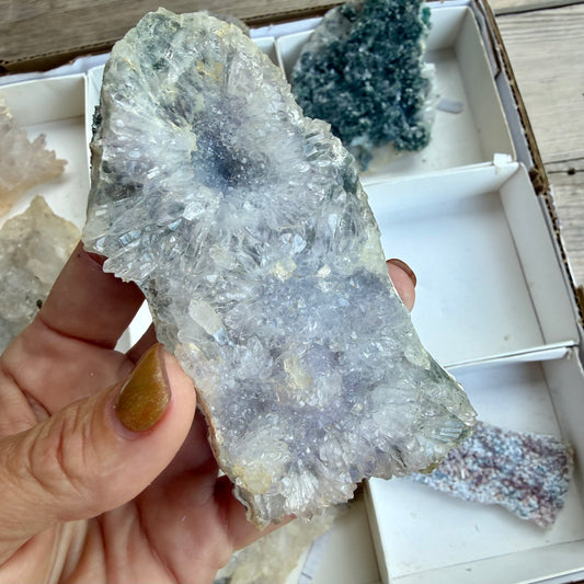 Amethyst Flower Cluster Plates — Rare Natural Specimens