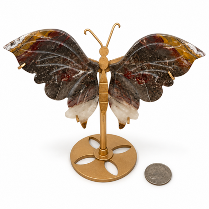 Carved Indonesian agate butterfly wings on gold stand with brown jasper, banded agate and quartz tips, next to a quarter for scale - Magick Souls