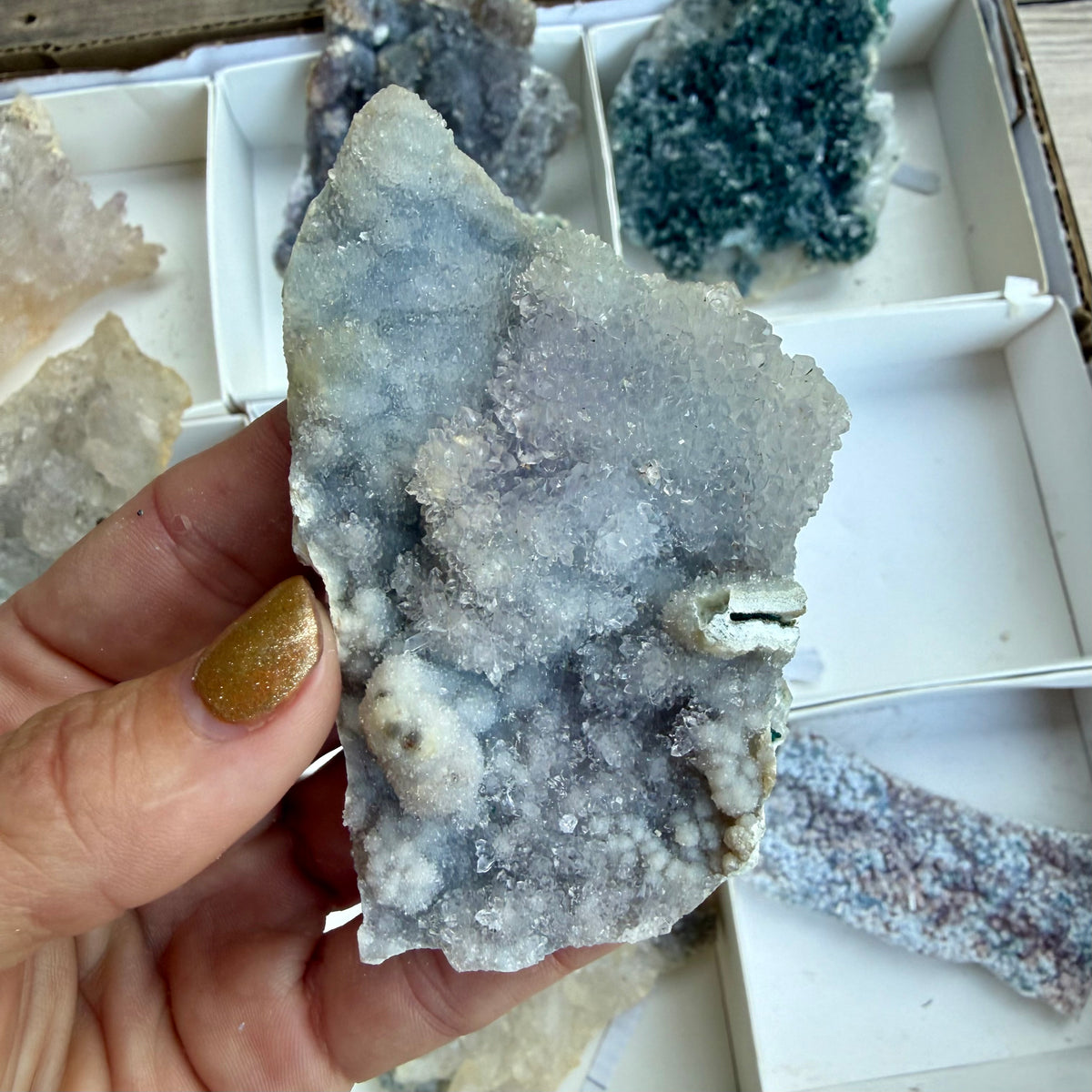 Amethyst Flower Cluster Plates — Rare Natural Specimens