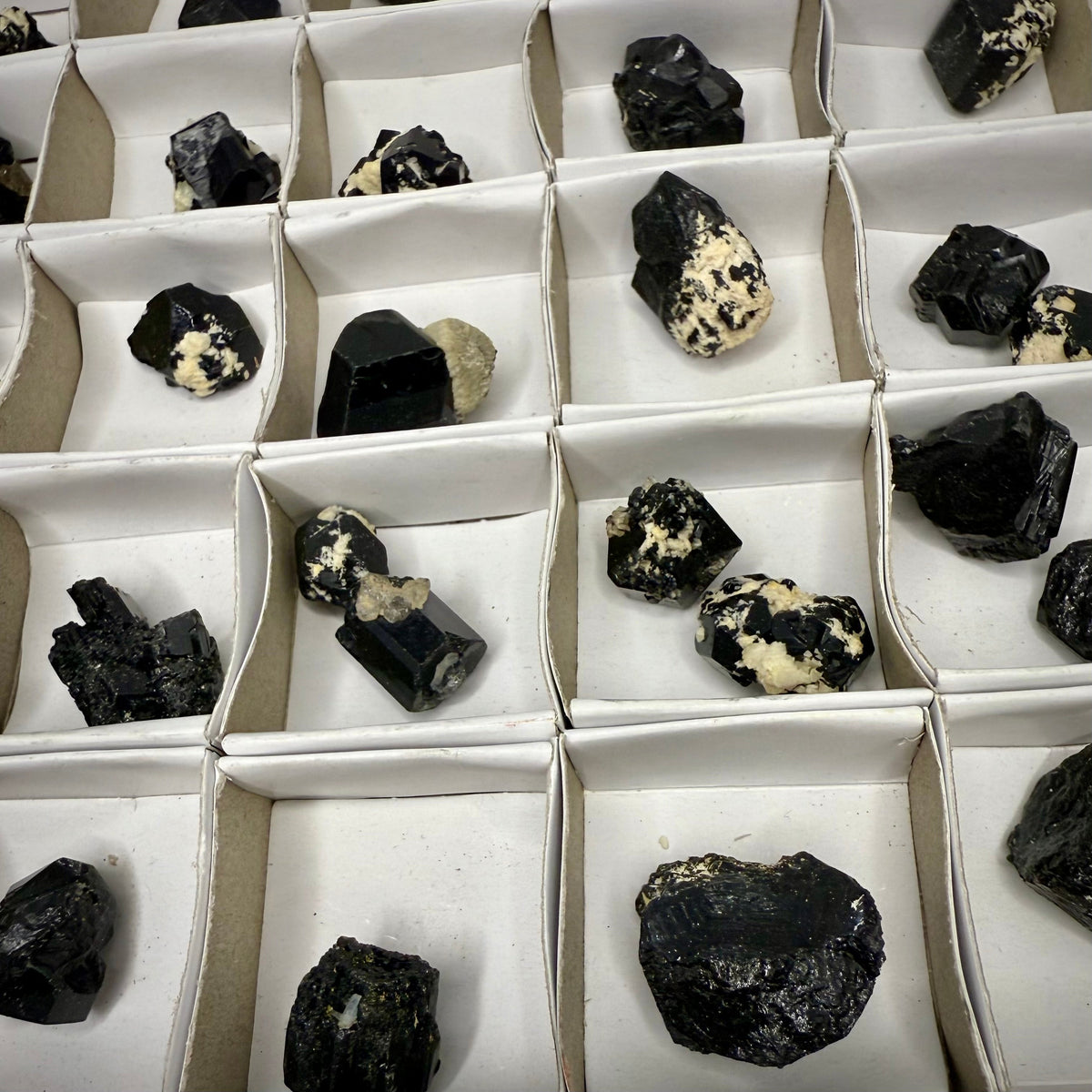 Natural Schorl Tourmaline with Hyalite Opal & Smoky Quartz – Namibia Rocks & Fossils