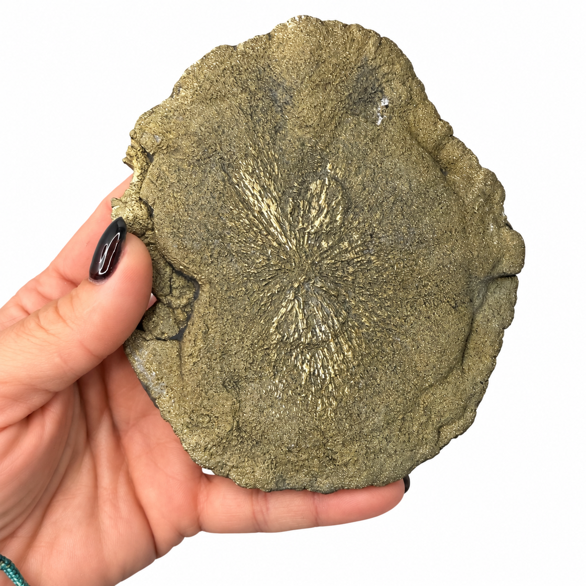 Large pyrite sun from Sparta Illinois with radiating golden starburst - Magick Souls