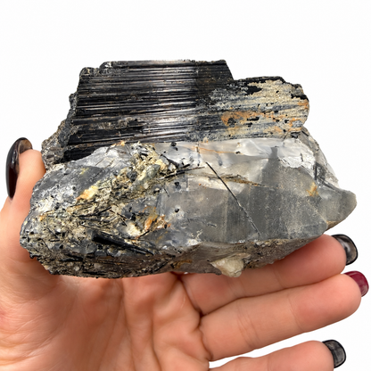 Black tourmaline on quartz specimen side view - Magick Souls