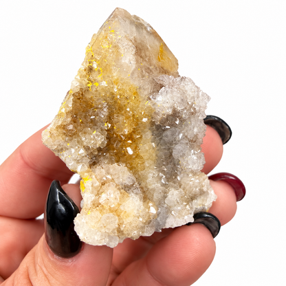 Spirit quartz cactus quartz specimen from South Africa - Magick Souls