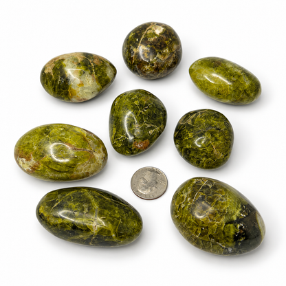 Green opal palm stones from Madagascar - Magick Souls