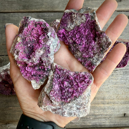 Natural Druzy Cobaltoan Calcite (Salrose) on Dolomite Matrix — Congo Rocks & Fossils