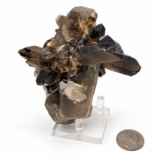 Smoky Quartz Crystal Cluster – Natural Multi-Point Specimen, One of a Kind