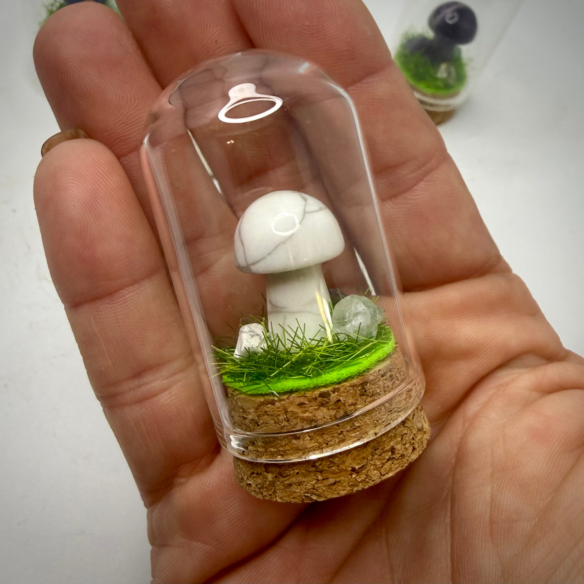 Mini Crystal Mushroom Terrarium