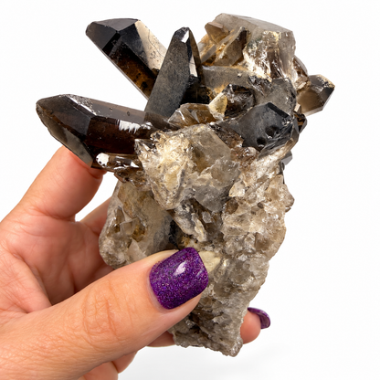 Smoky Quartz Crystal Cluster – Natural Multi-Point Specimen, One of a Kind