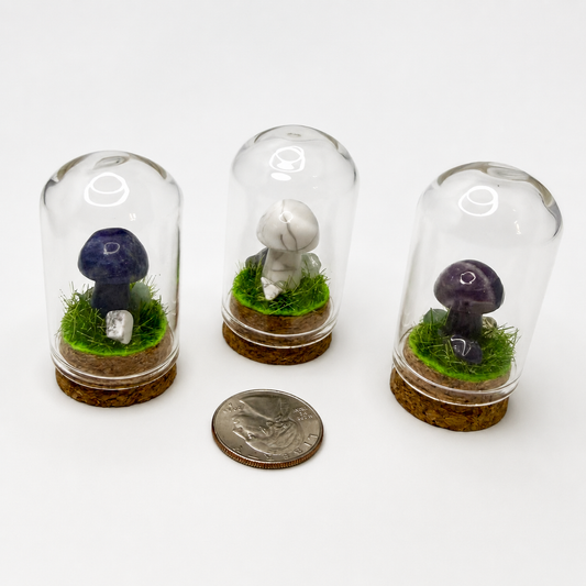 Mini Crystal Mushroom Terrarium
