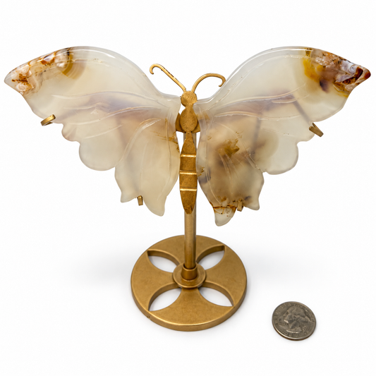 Carved agate butterfly wings on gold metal stand, translucent white with amber inclusions, next to a quarter for scale - Magick Souls