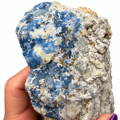 Rare Afghanite Mineral Specimen – UV Reactive Afghanite on Pyrite Matrix, 8" Collector Piece from Afghanistan
