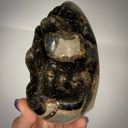 Septarian Druzy Dragon Egg UV Reactive Rocks & Fossils