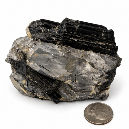 Tourmalinated quartz close-up showing black tourmaline needles inside clear quartz - Magick Souls