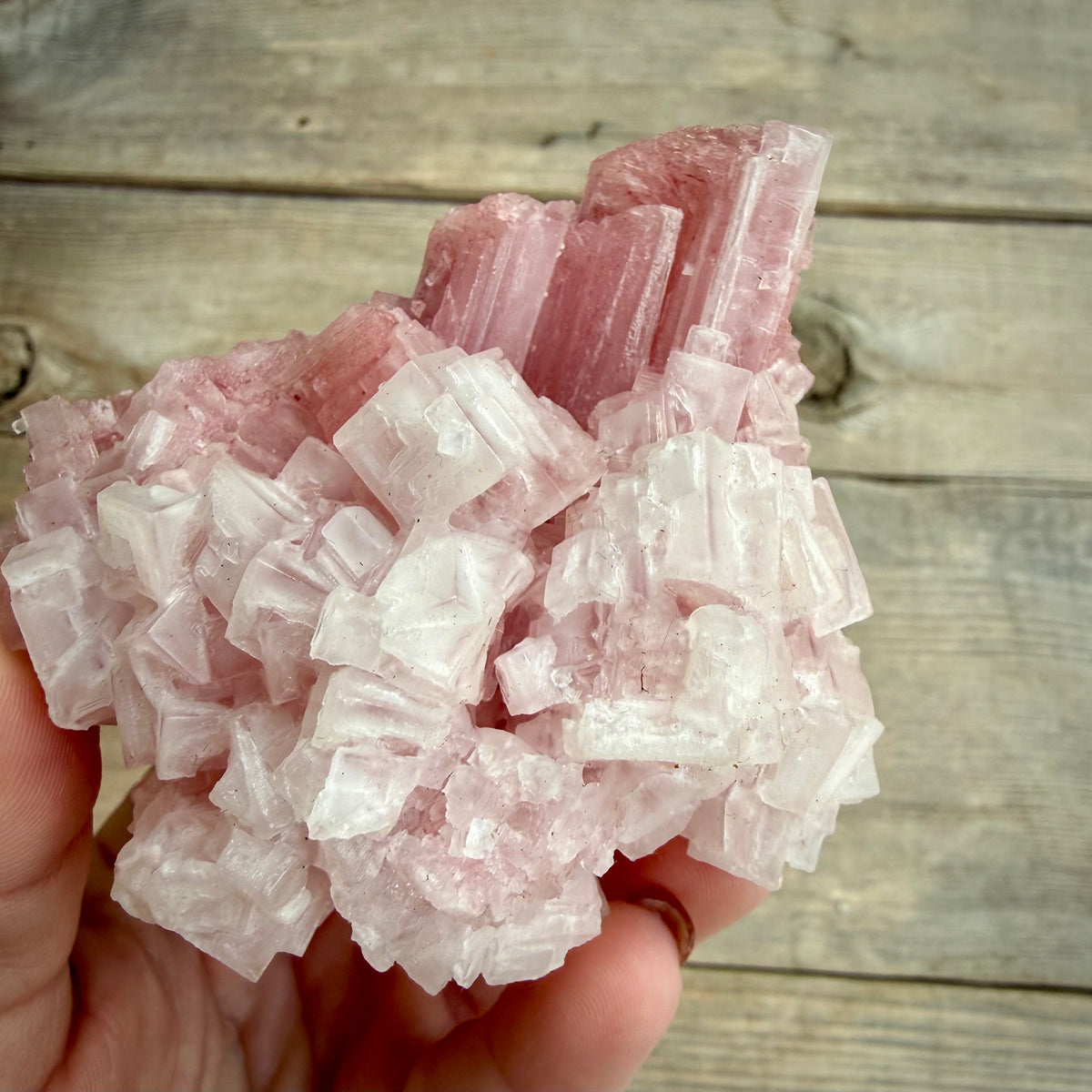 Pink Halite Crystal Cluster – Natural Specimen, One of a Kind