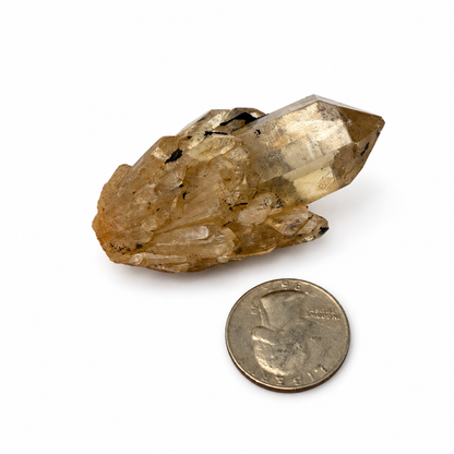 Raw citrine cluster with velvety black mineral accents and candle-style points - Magick Souls