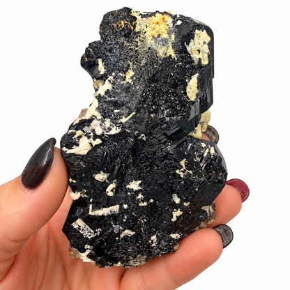 Pakistan black tourmaline mineral specimen, alternate view - Magick Souls