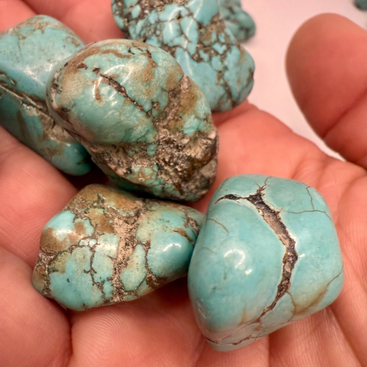 Tumbled Tibetan Turquoise Stone Rocks & Fossils