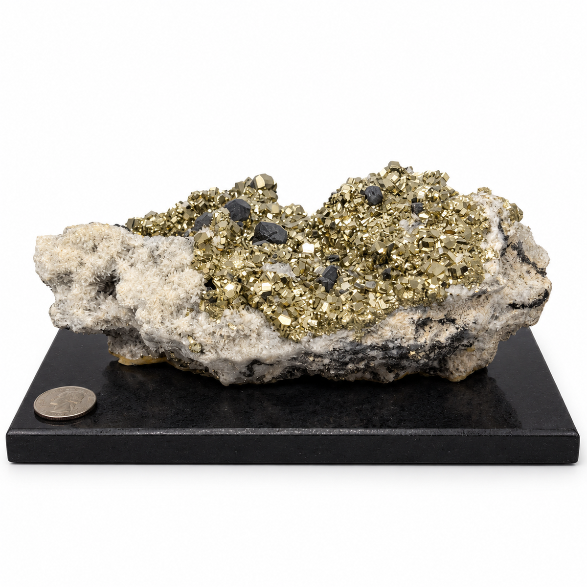Large Peruvian pyrite cluster with galena on quartz matrix, mounted on black granite display base, quarter shown for scale