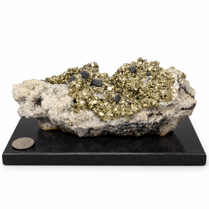 Large Peruvian pyrite cluster with galena on quartz matrix, mounted on black granite display base, quarter shown for scale