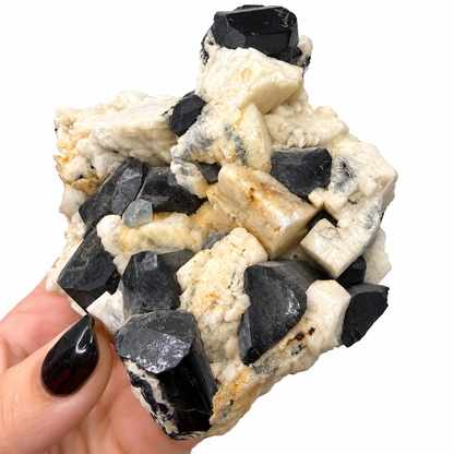 Black tourmaline and aquamarine on white feldspar from Pakistan, next to a quarter for scale - Magick Souls
