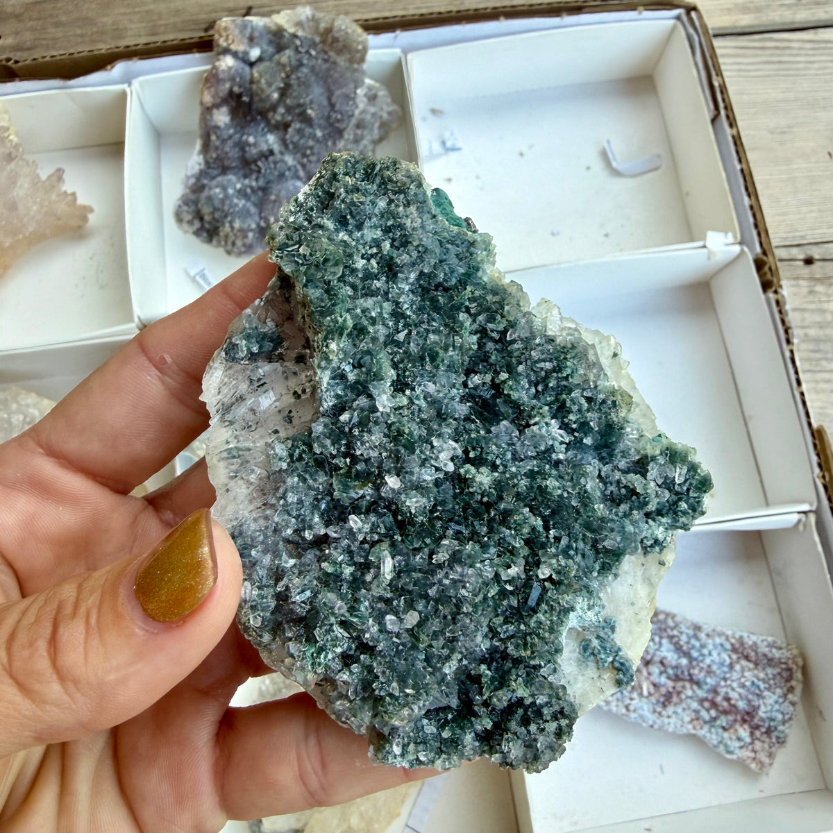 Amethyst Flower Cluster Plates — Rare Natural Specimens