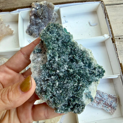 Amethyst Flower Cluster Plates — Rare Natural Specimens