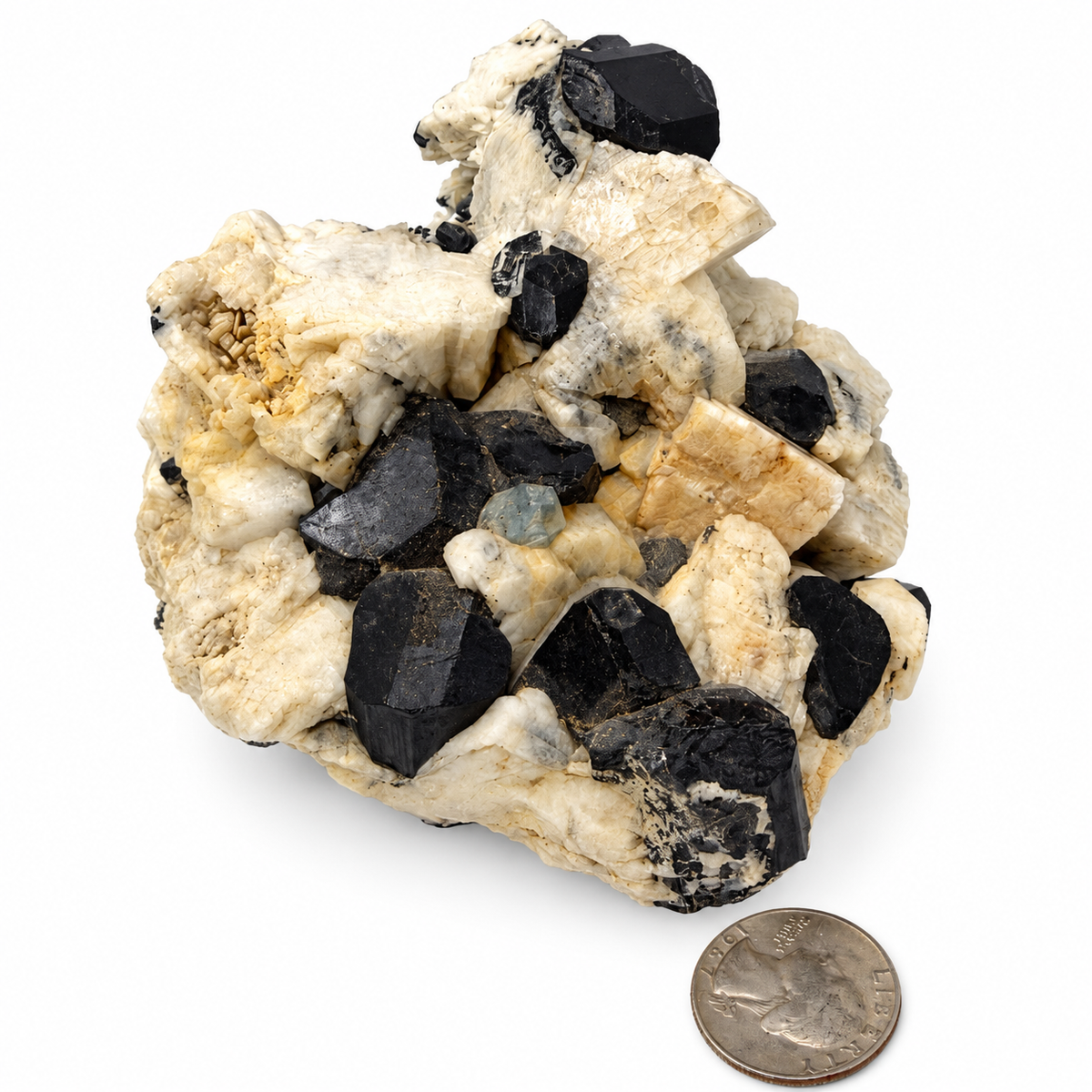 Terminated black tourmaline schorl crystals on snowy white feldspar - Magick Souls