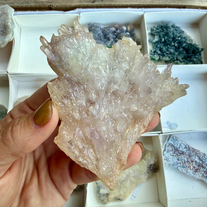 Amethyst Flower Cluster Plates — Rare Natural Specimens