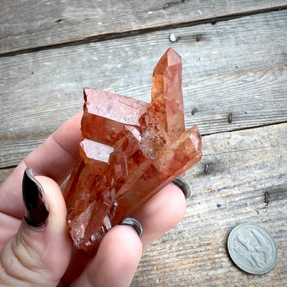 Red Hematoid Orange Tangerine Quartz Cluster - Magick Souls