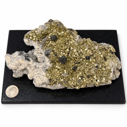 Top-down view of gold pyrite crystals and dark galena on white quartz matrix, mounted on black base