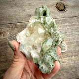 Phantom Chlorite Quartz Green Ghost Cluster Mineral Specimen - Magick Souls