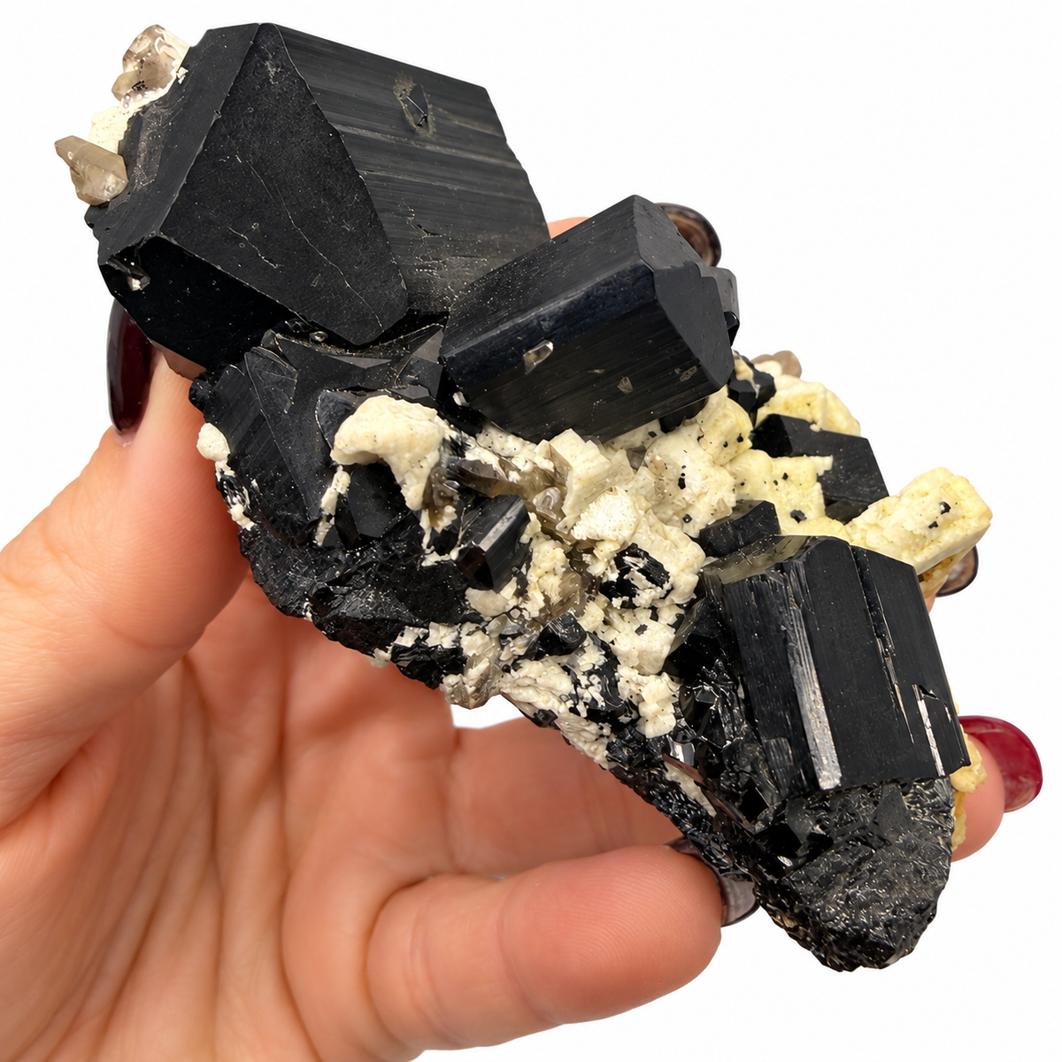 Glossy faceted black tourmaline terminations close-up - Magick Souls