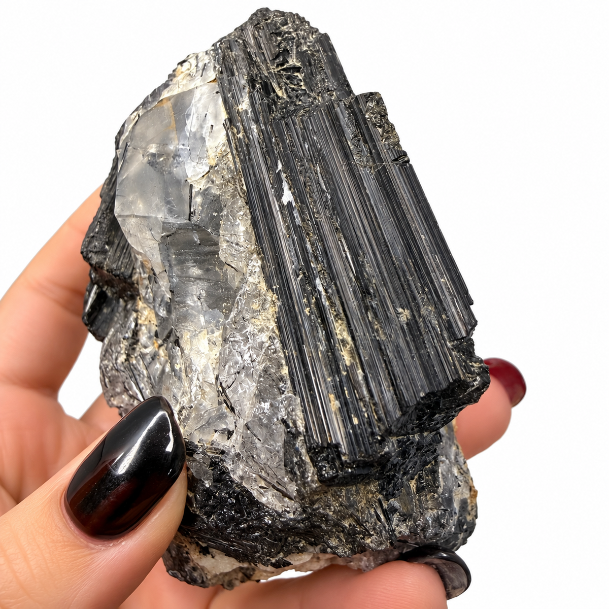 Striated black tourmaline schorl crystal on clear quartz, shown in hand - Magick Souls