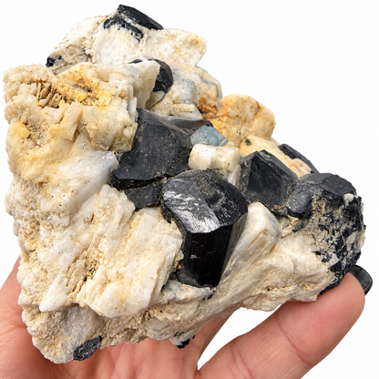 Close-up of pale blue hexagonal aquamarine crystal between black tourmaline crystals - Magick Souls