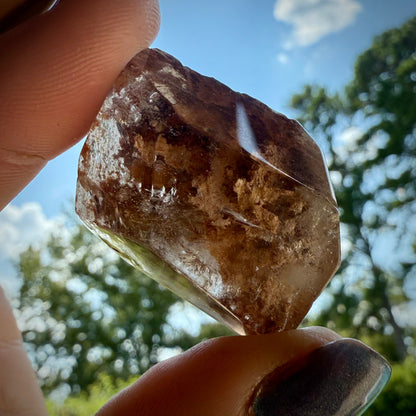 Garden Quartz 1000 Layer Lodolite Freeform Rocks & Fossils