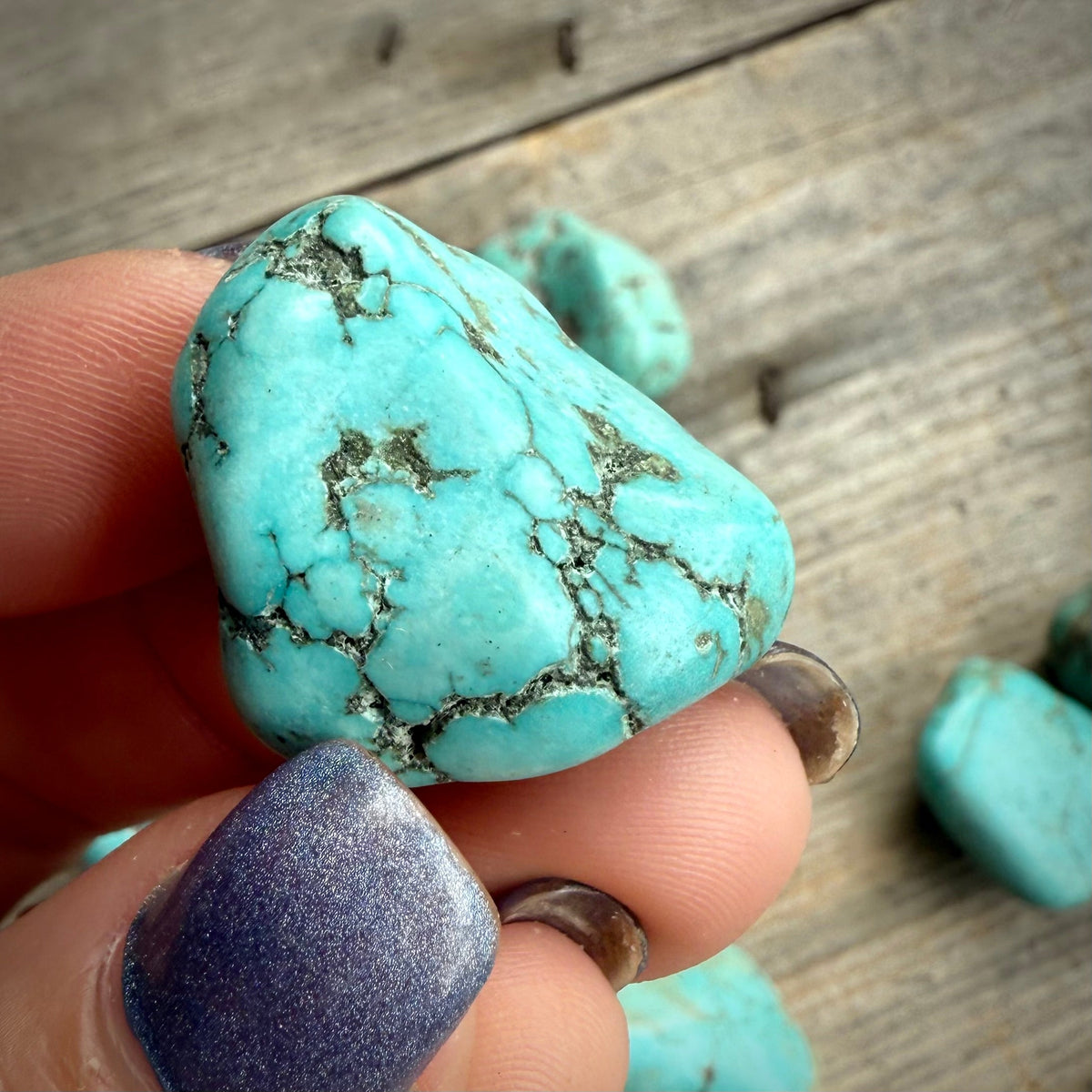 Tumbled Tibetan Turquoise Stone Rocks & Fossils