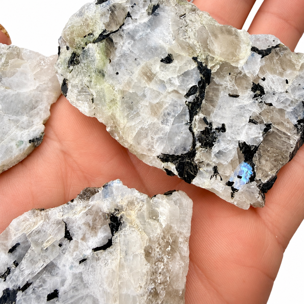 Rainbow Moonstone — One Side Polished Slabs