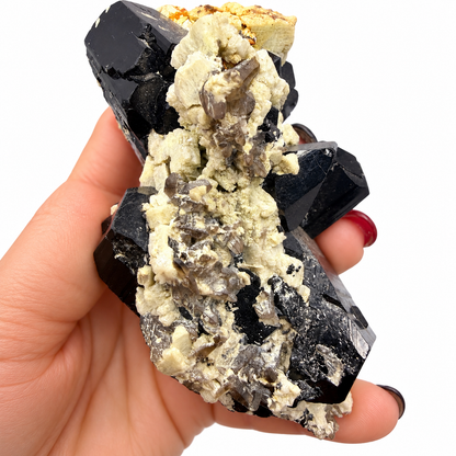 Large black tourmaline and smoky quartz specimen next to a quarter for scale - Magick Souls