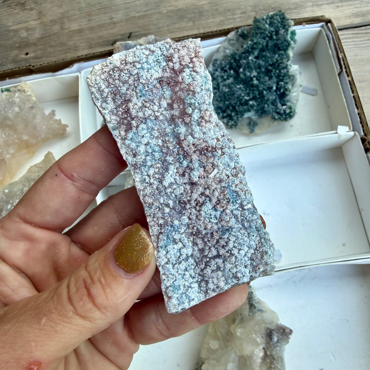 Amethyst Flower Cluster Plates — Rare Natural Specimens