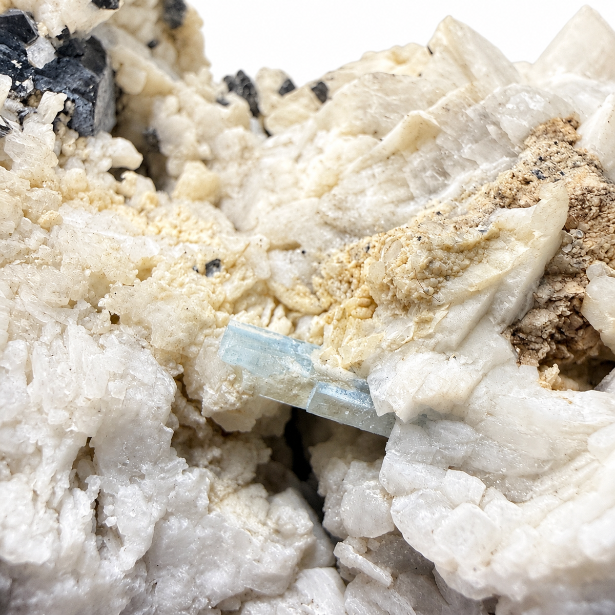 Black tourmaline crystals and shiny albite feldspar, side view - Magick Souls